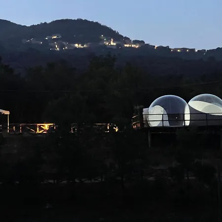 La Bolla Dell'usignolo *