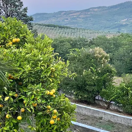 La Bolla Dell'usignolo